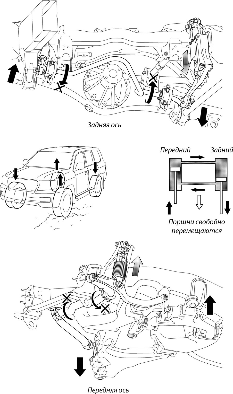 Схема задней подвески прадо 150 с кдсс