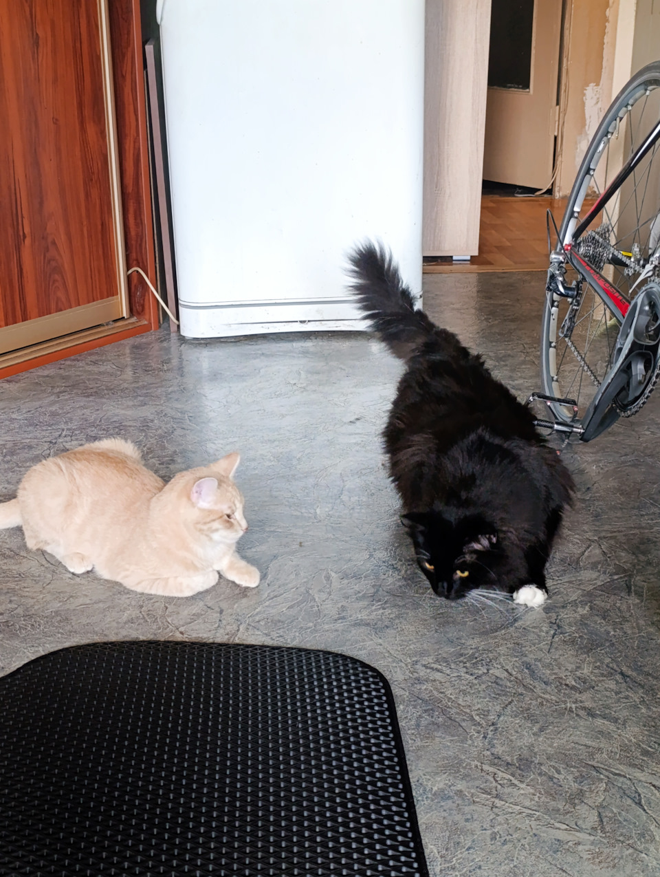 Не зависимые эксперты одобряют — Toyota Vista (30)