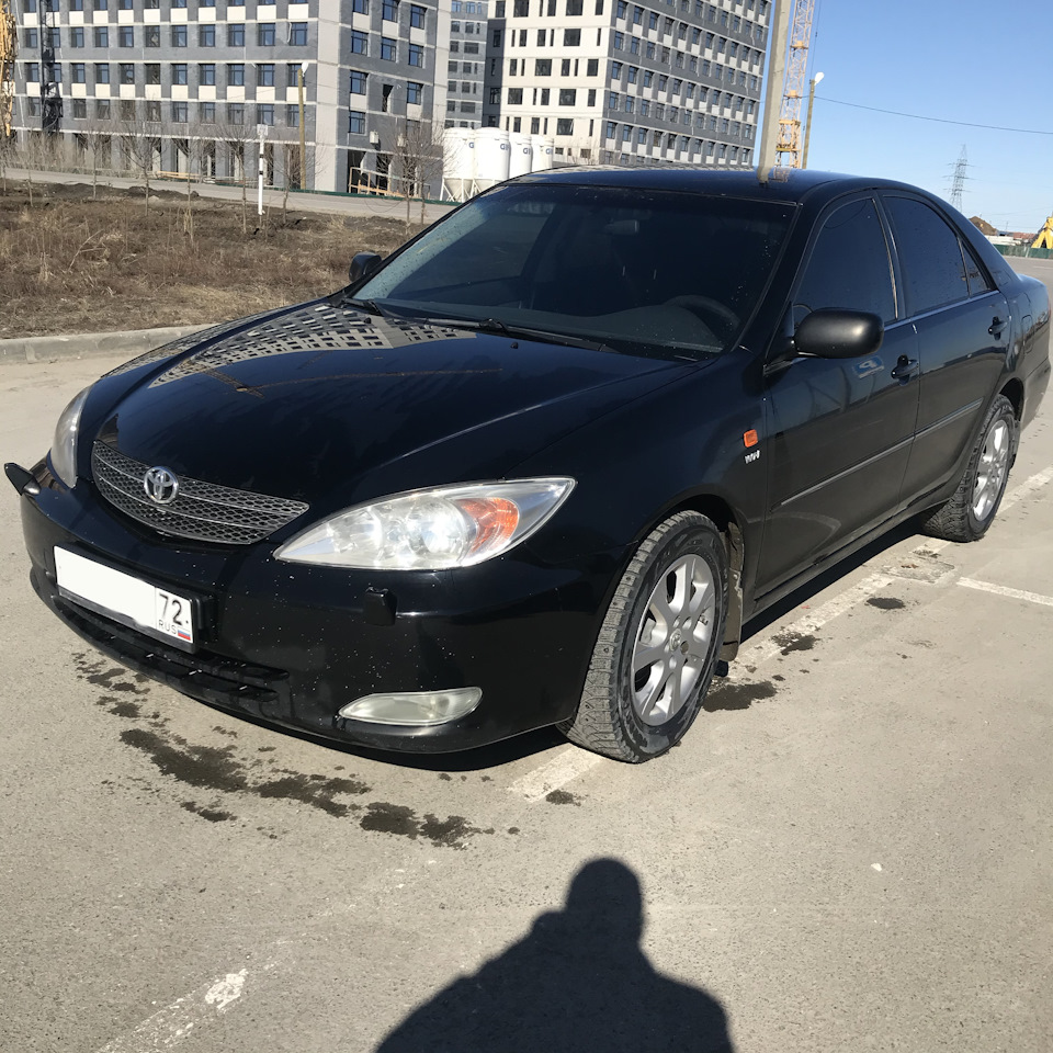 Camry стрекоза фото