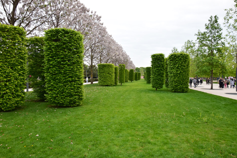 Фото в бортжурнале Renault Duster (1G)