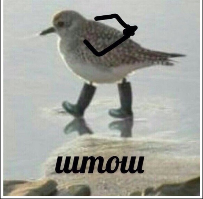 попадаем на новый подшипник — Lexus IS I