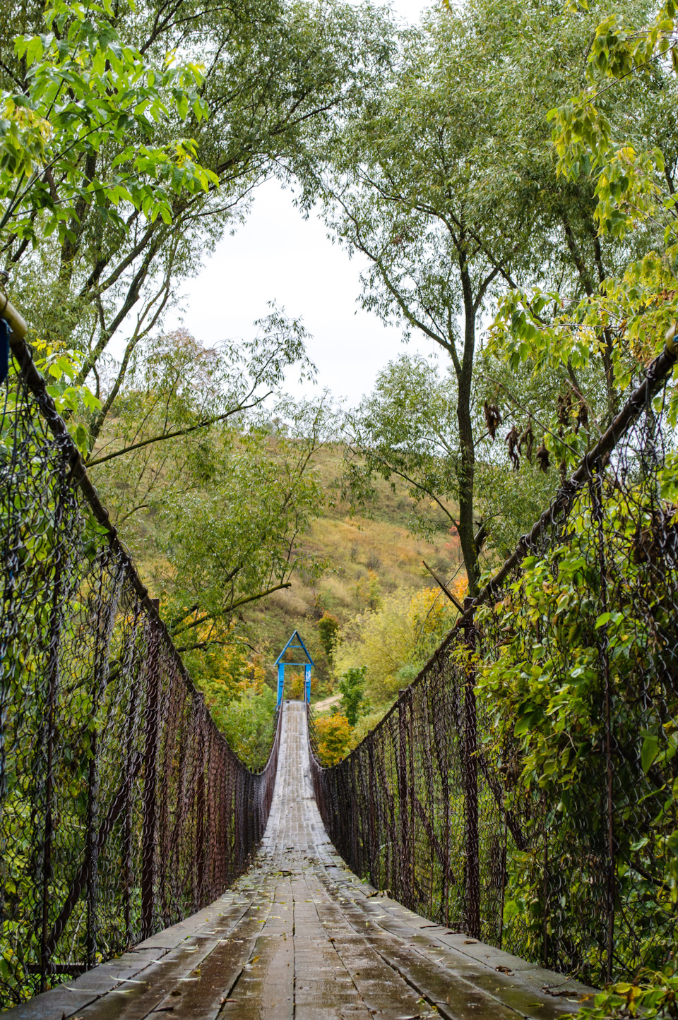 Фото в бортжурнале Renault Sandero Stepway (2G)