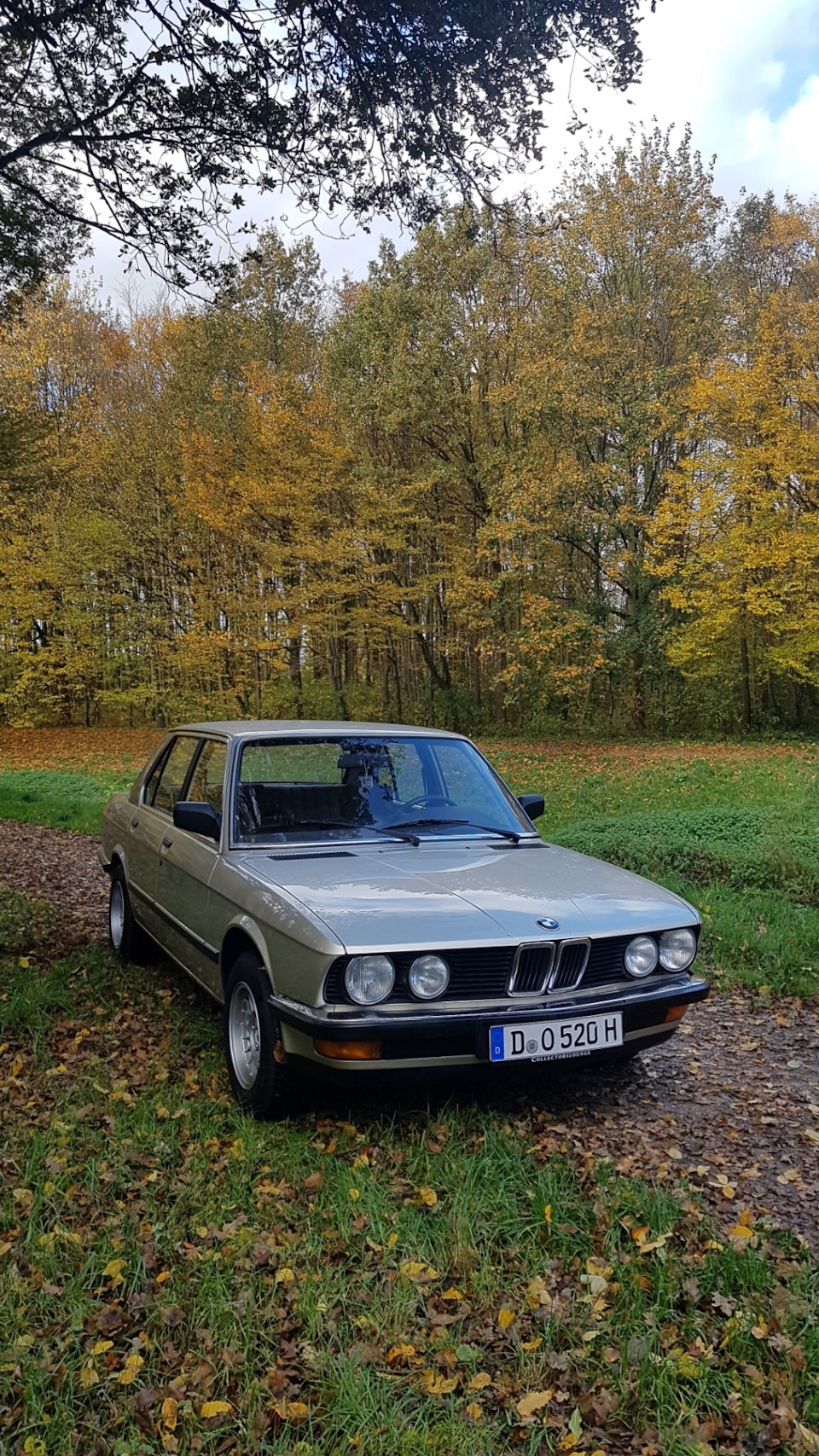 Осенние проспекты и небольшая хронология обновлений Е28 — BMW 5 series  (E28), 2 л, 1986 года | наблюдение | DRIVE2