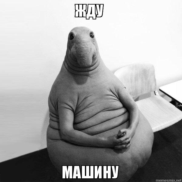 В Ожидании Парней