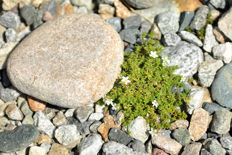 Замена воздушного фильтра — Mitsubishi ASX, 1,8 л., 2010 года ...