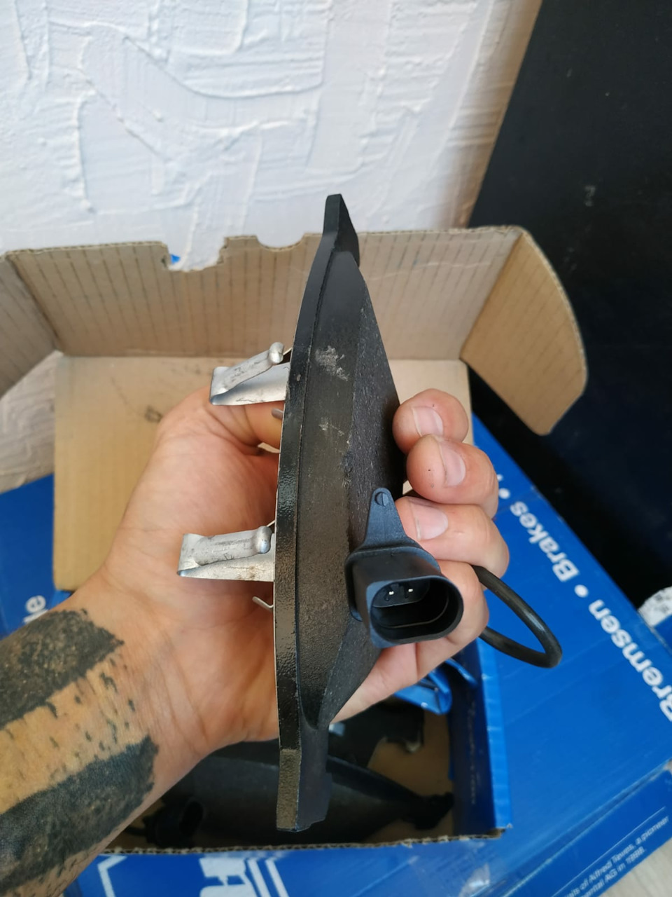 Скрипит краб на гранте - 81 фото