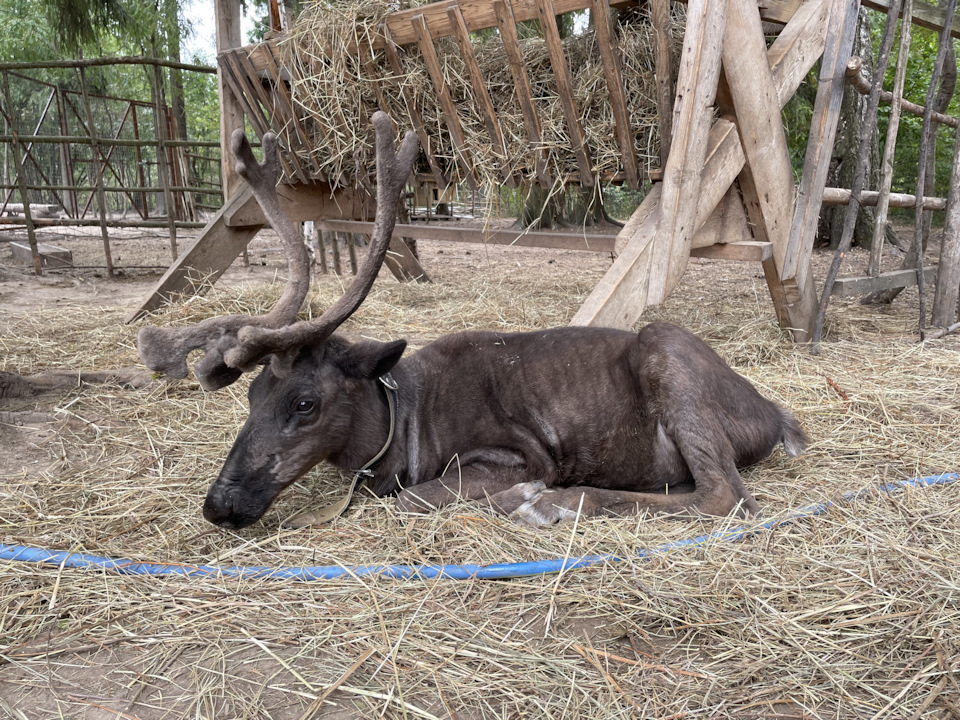 Фото в бортжурнале Cadillac Escalade (3G)