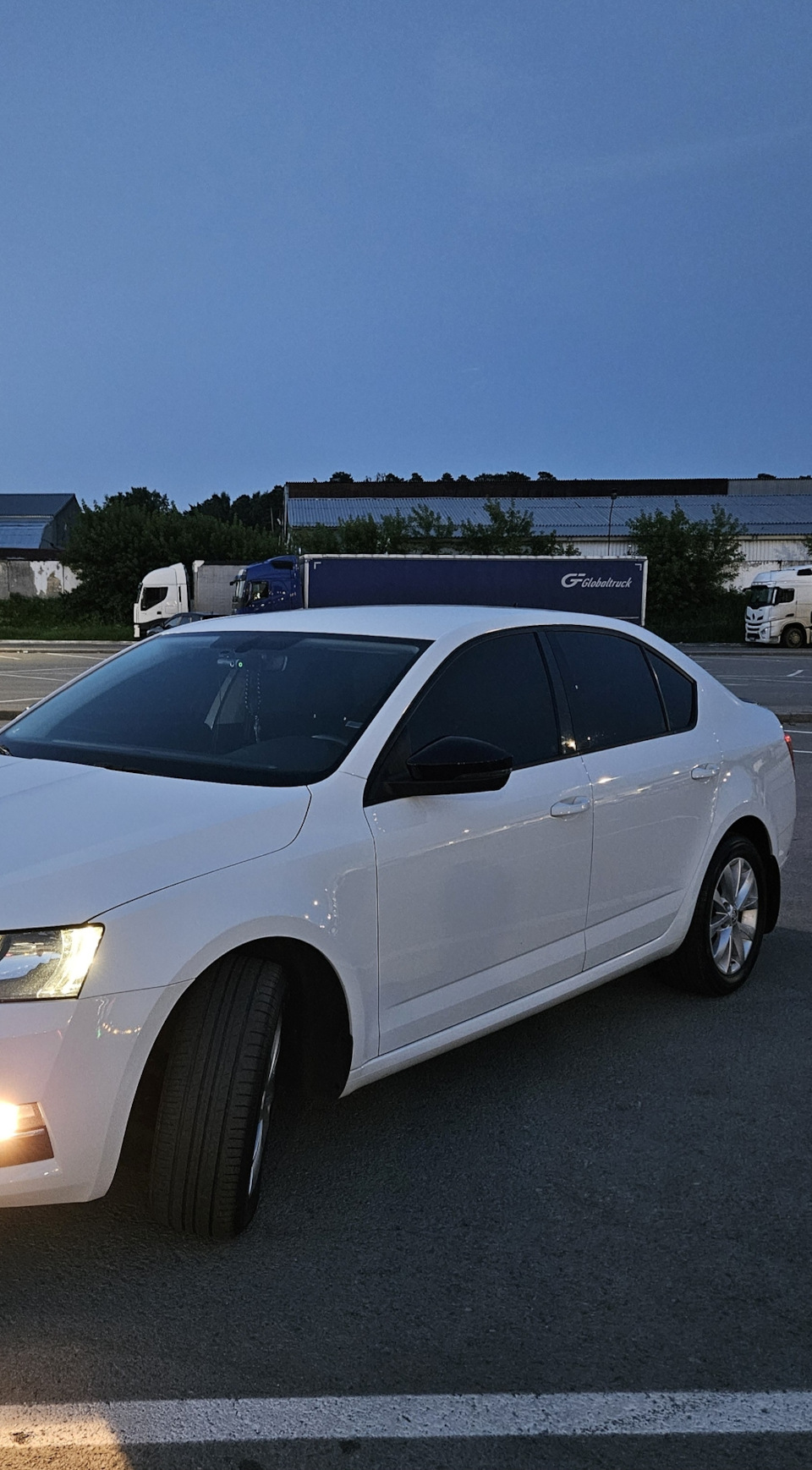 Фото в бортжурнале Skoda Octavia A7 Mk3