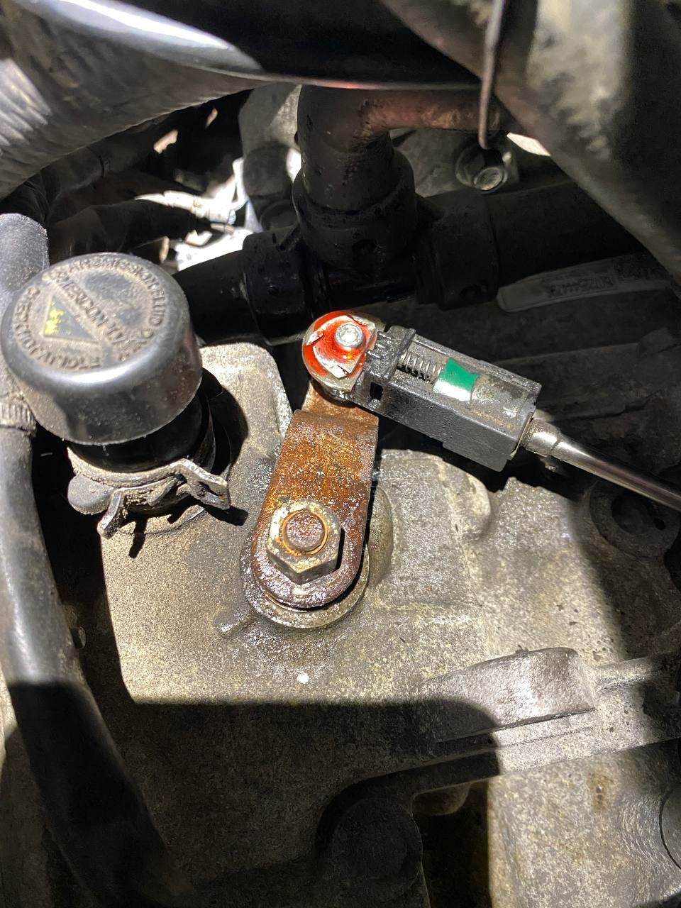 Фото в бортжурнале Ford Escape (3G)