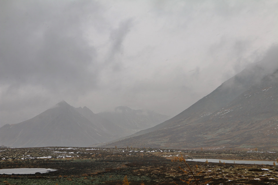 Фото в бортжурнале Toyota Land Cruiser 80