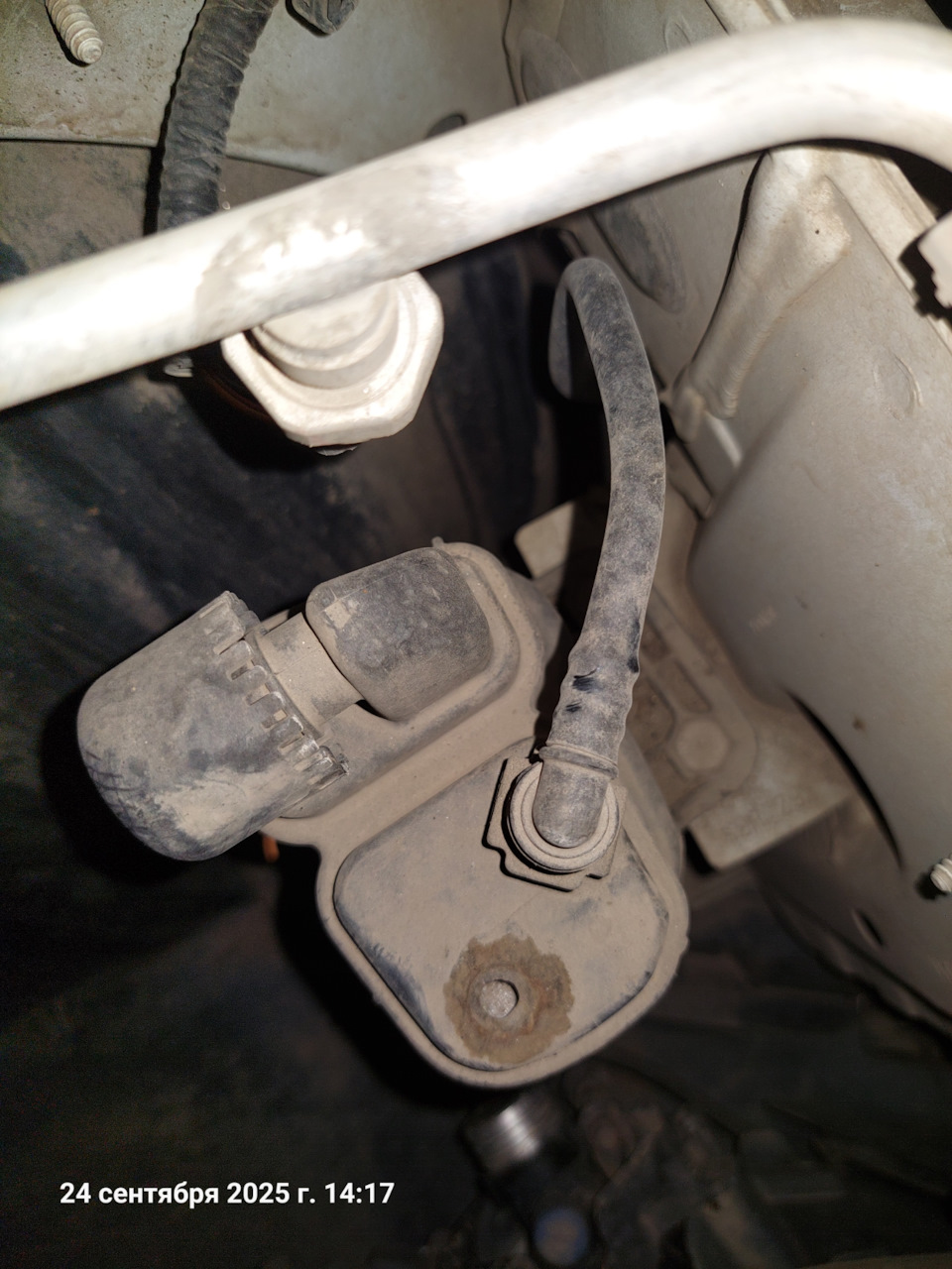 То-ли клей плохой, то-ли руки не оттуда 🤣🤣🤣 — Lada XRAY