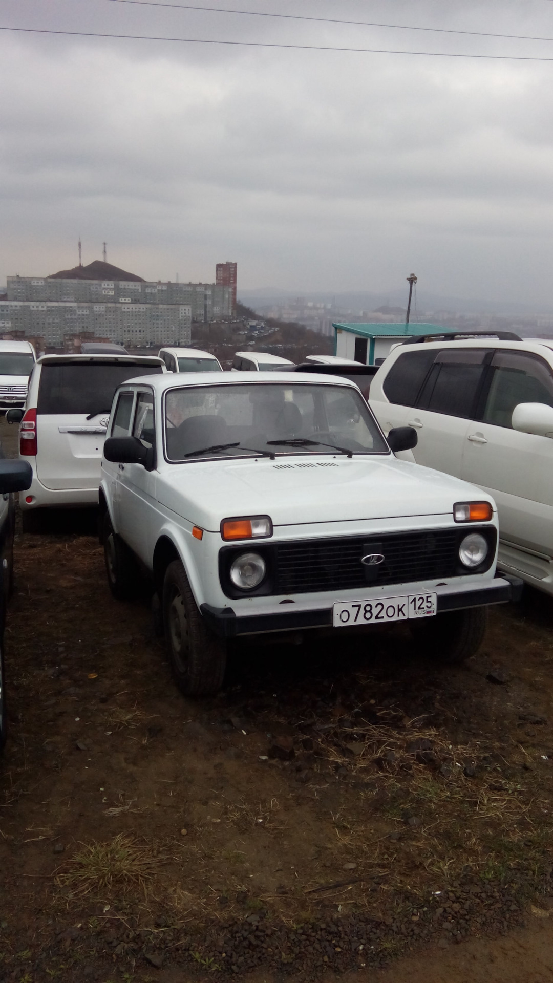 Приобретение Нивы с маленьким пробегом. — Lada 4x4 3D, 1,7 л, 2010 года |  покупка машины | DRIVE2