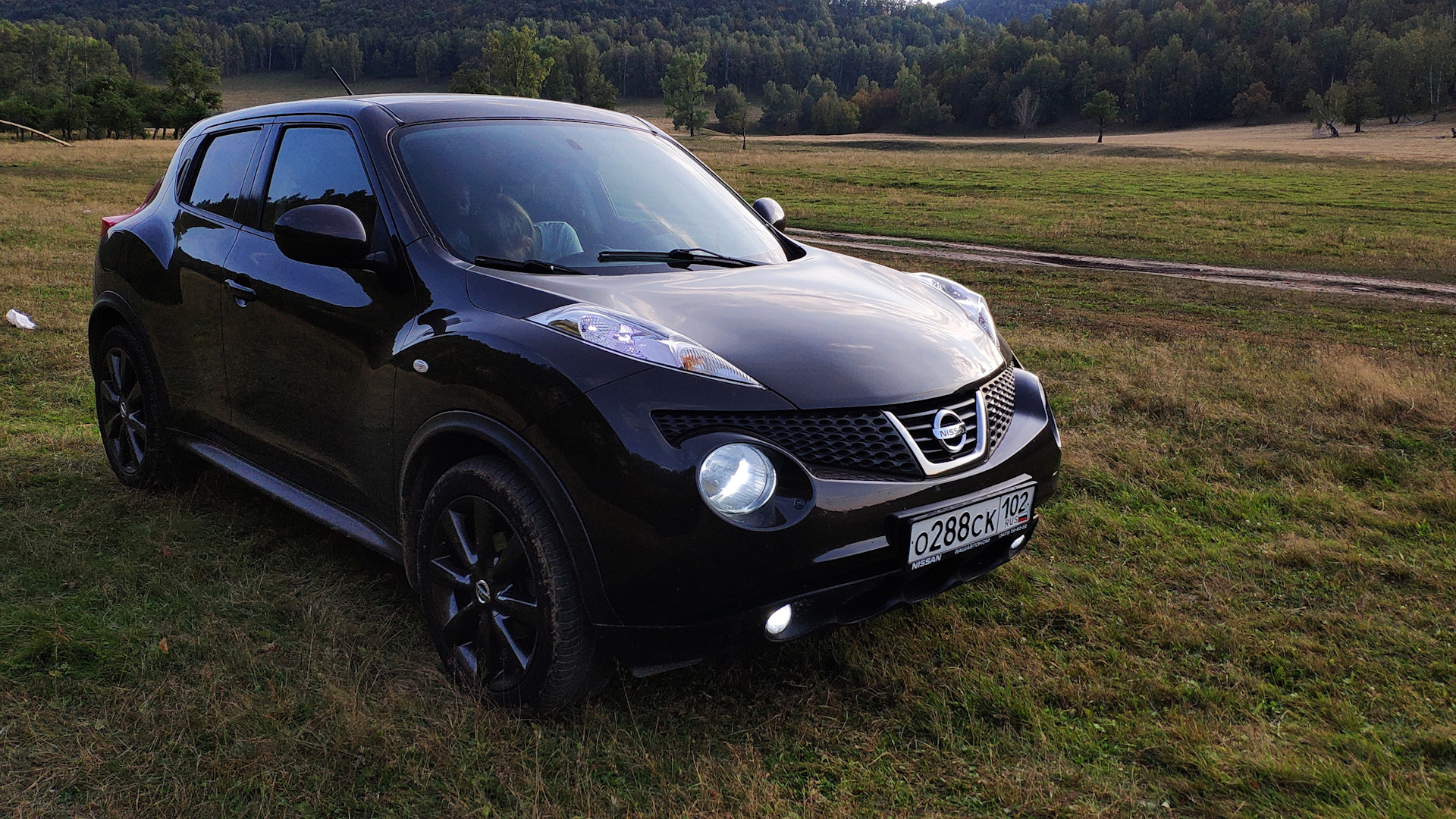 Ниссан жук 2012. Nissan Juke drive2. Nissan Juke 1. Ниссан Жук 4 ВД. Nissan Juke Black 2011.