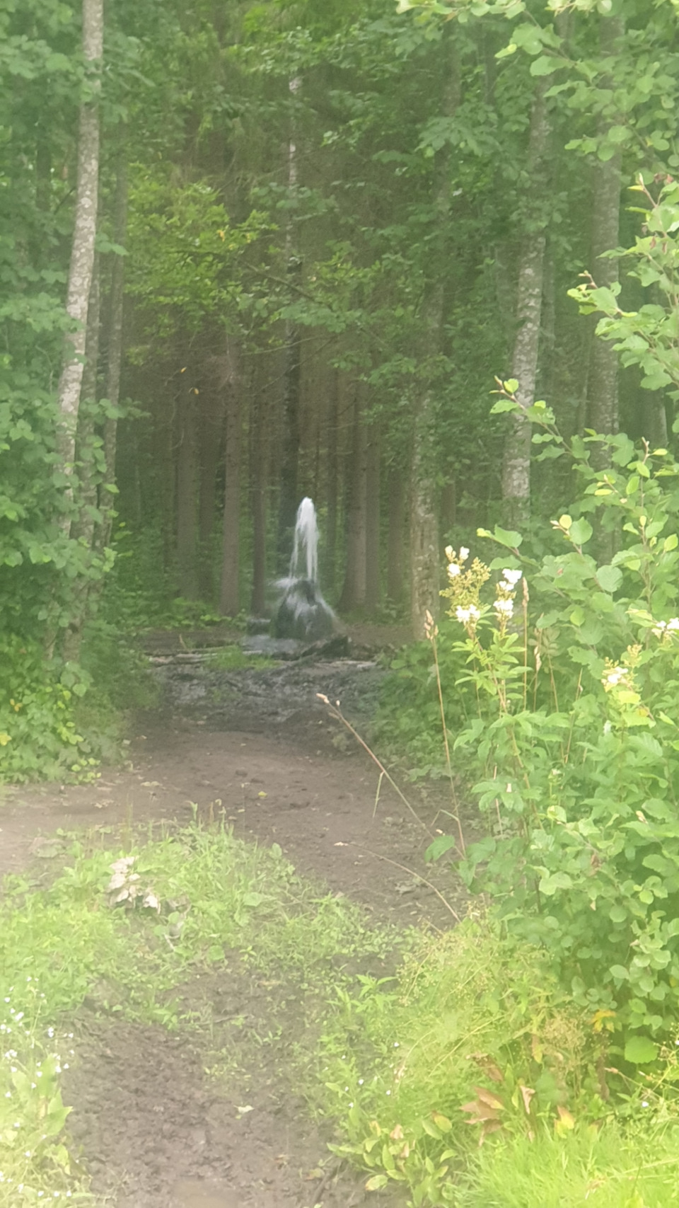 Полная замена масла в коробке — KIA Ceed (1G), 1,6 л, 2008 года | визит ...