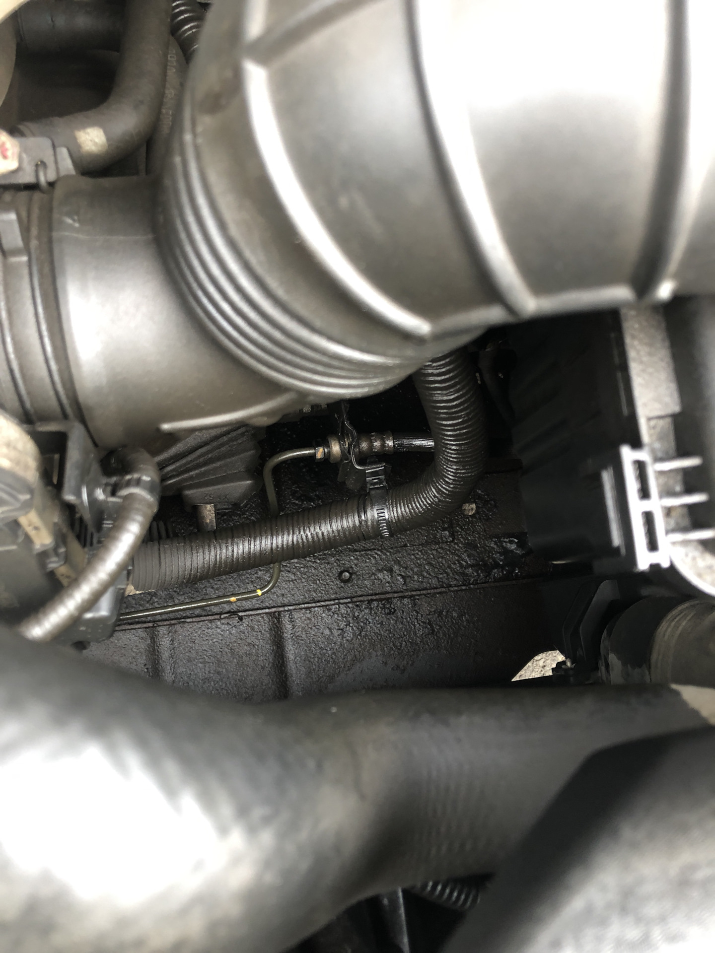 Лопнул шланг сцепления. — KIA Ceed (2G), 1,6 л, 2013 года | запчасти ...