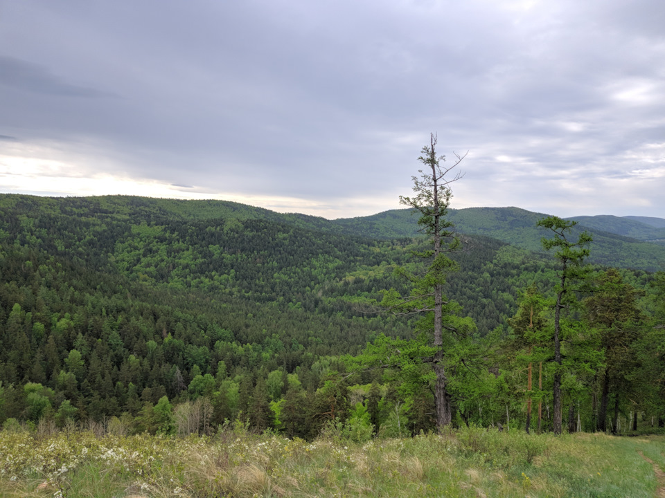 Как заменить гофру на шевроле ланос - 90 фото