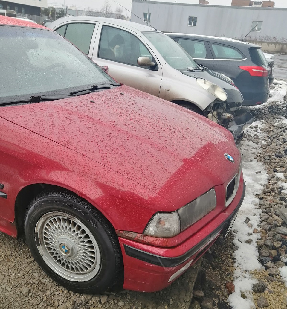 О машине. — BMW 3 series (E36/5), 1,6 л, 1995 года | покупка машины | DRIVE2