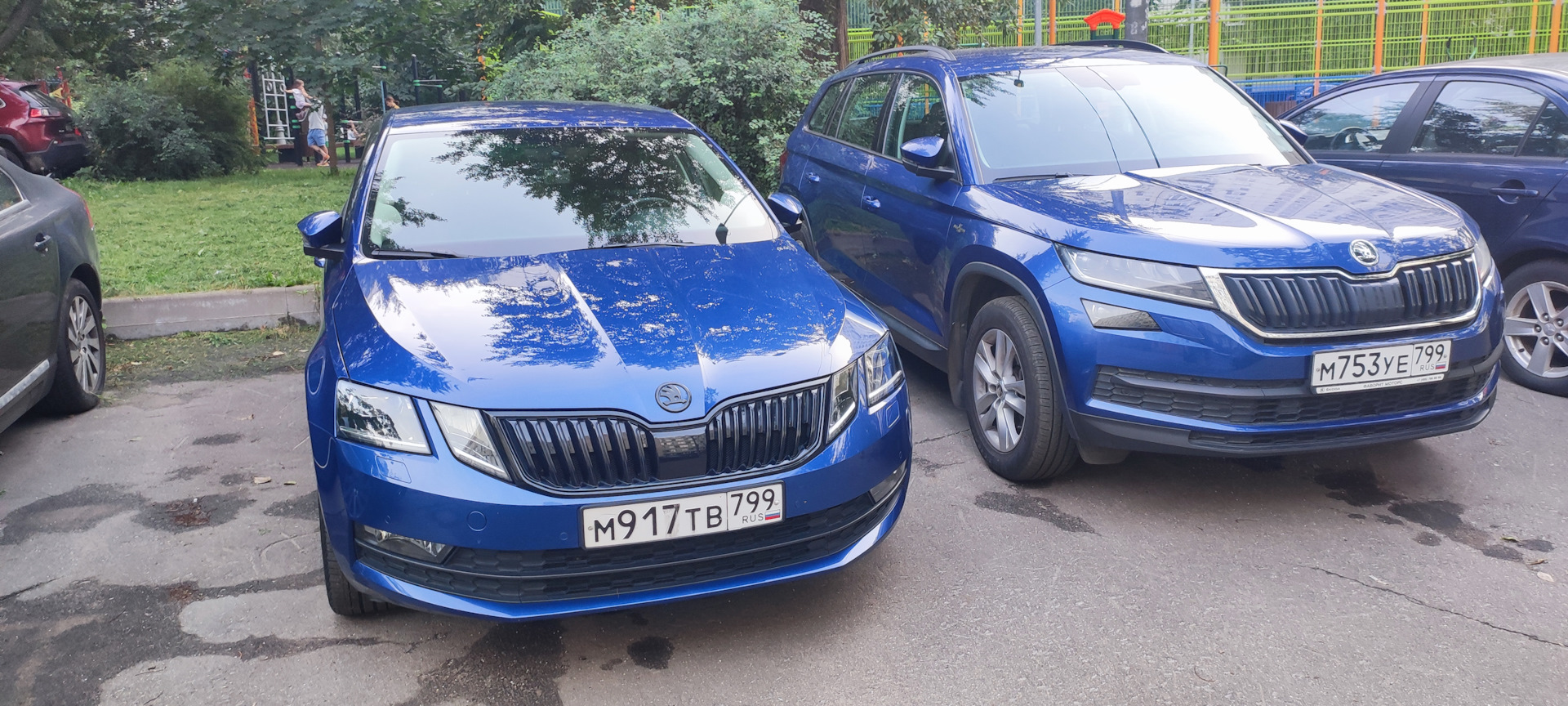 Длиннопост обо всем (4-ый год владения, запоздалый) — Skoda Octavia A7 Mk3,  1,8 л, 2020 года | наблюдение | DRIVE2