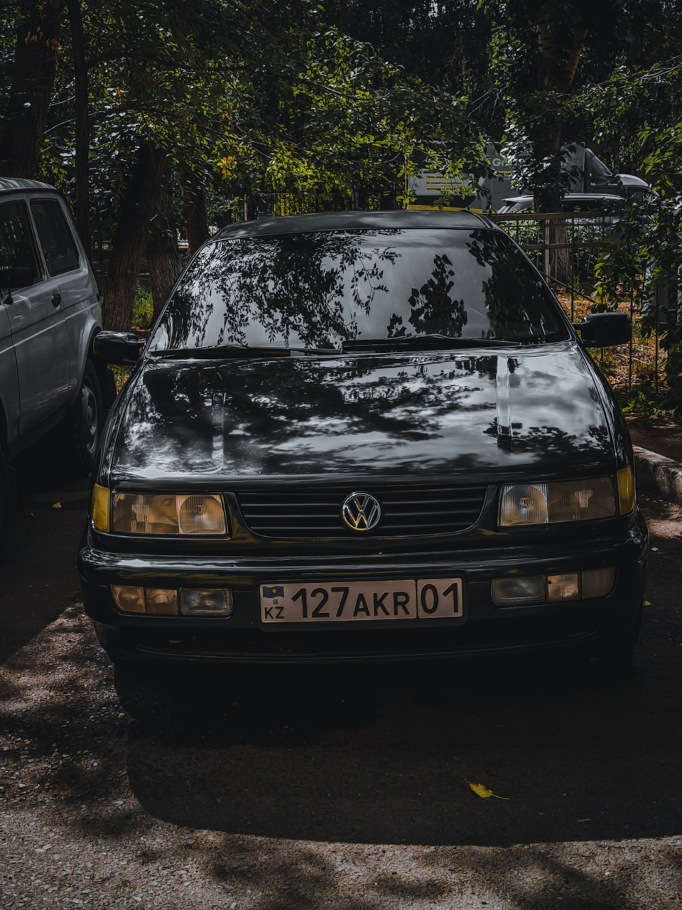 Просто красивые фотАчкии. — Volkswagen Passat B4, 2 л, 1996 года | продажа  машины | DRIVE2