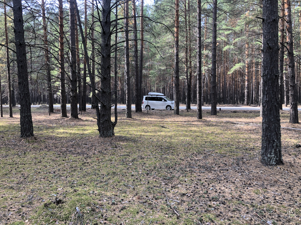 Замена масла — Toyota Noah (2G), 2 л, 2011 года | визит на сервис | DRIVE2