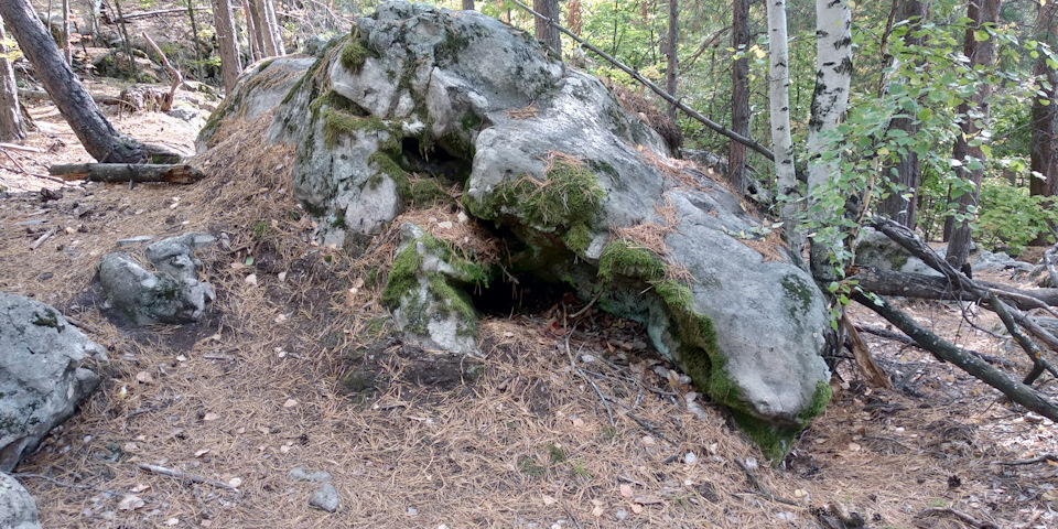 Рачейский бор самарская область карта