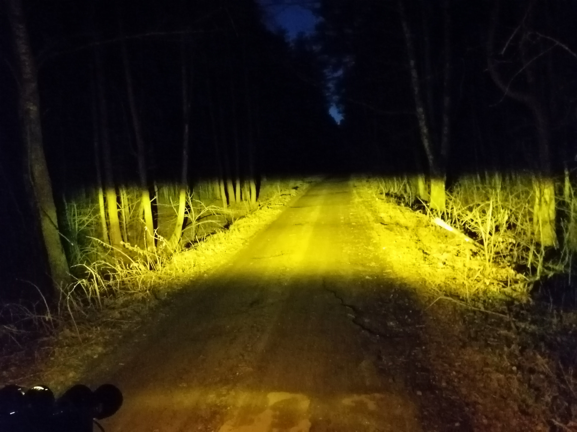 Фара луч света. Свет от ПТФ. Свет фар желтый на дороге. Желтые противотуманки свет. Противотуманки в тумане.