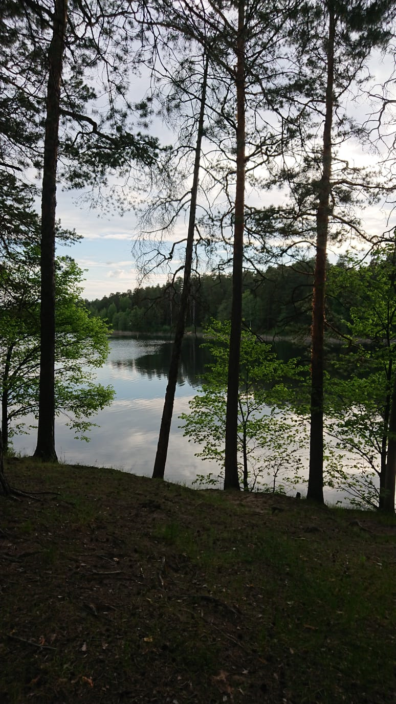 Фото в бортжурнале Mitsubishi Pajero Sport (3G)