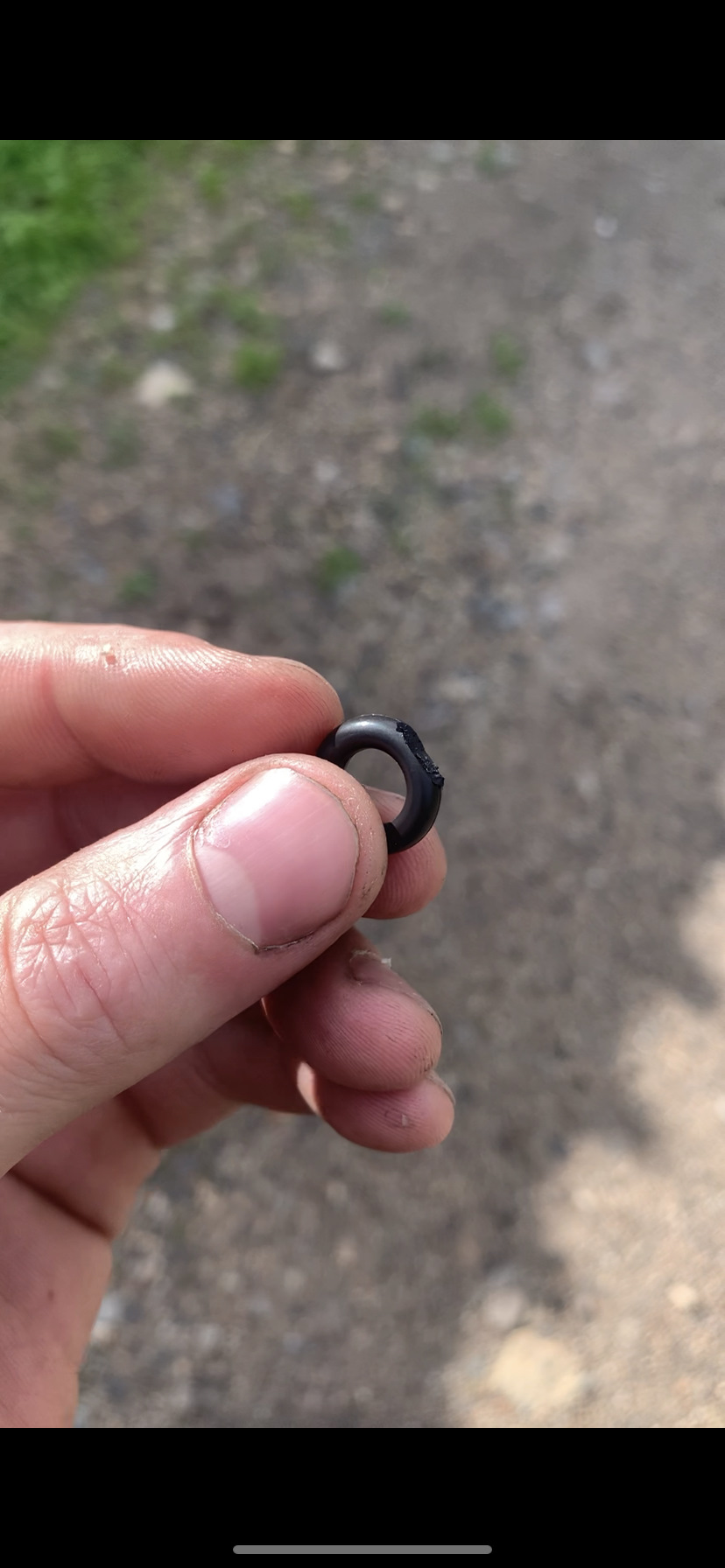 Пошел в магазин за новой) хорошо что там нашлась такая вещь — Toyota Allion (T240)