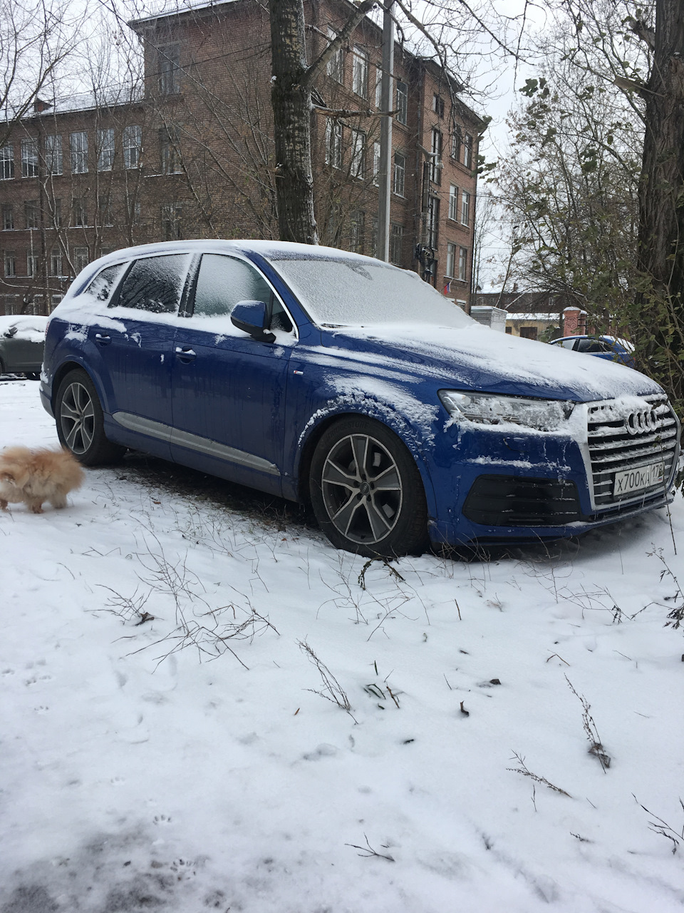 Машина приседает, что делать?)) — Audi Q7 (2G), 3 л, 2016 года | просто так  | DRIVE2