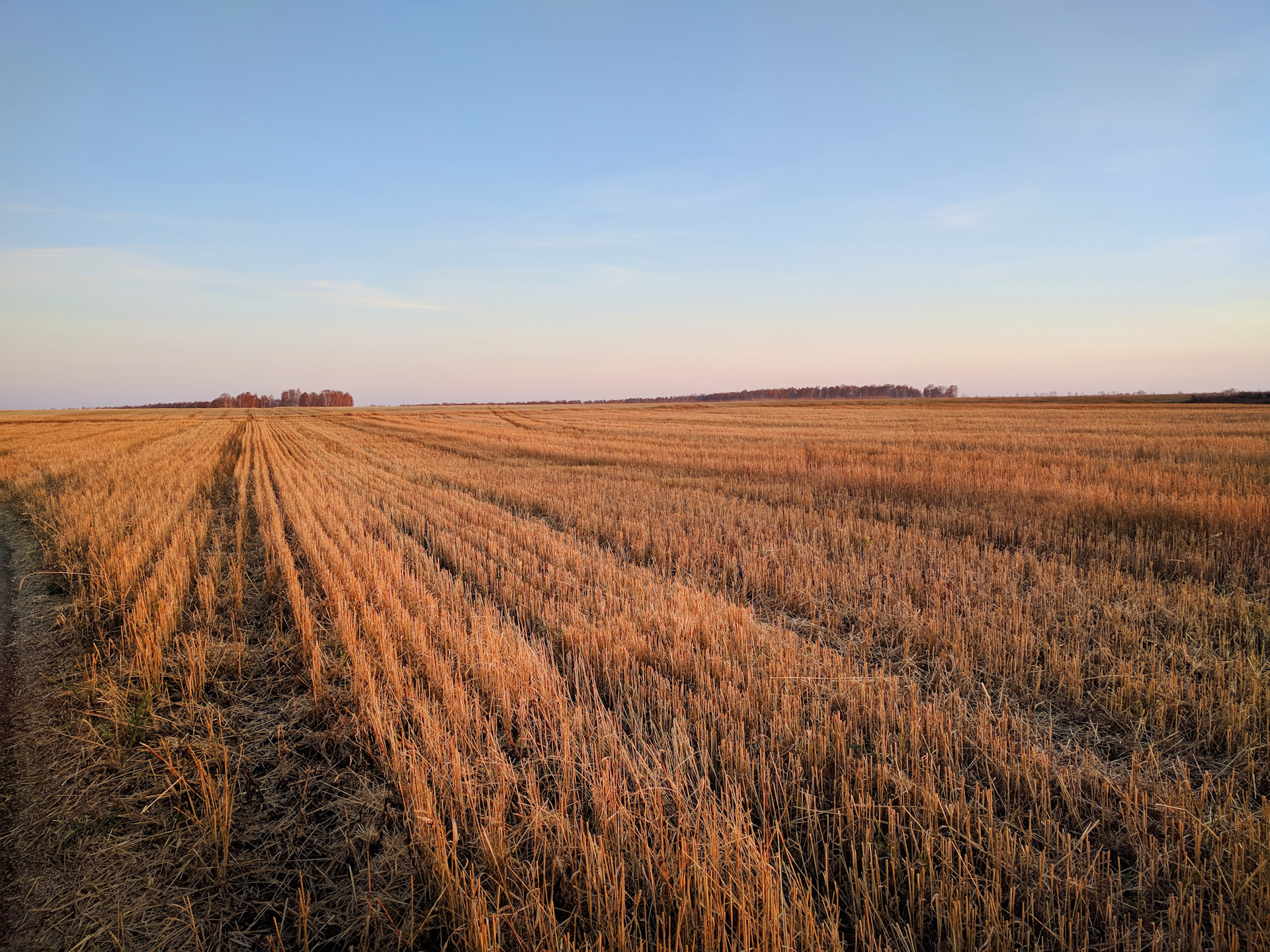 Large fields