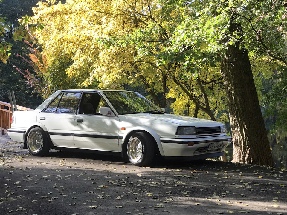 Nissan bluebird фото