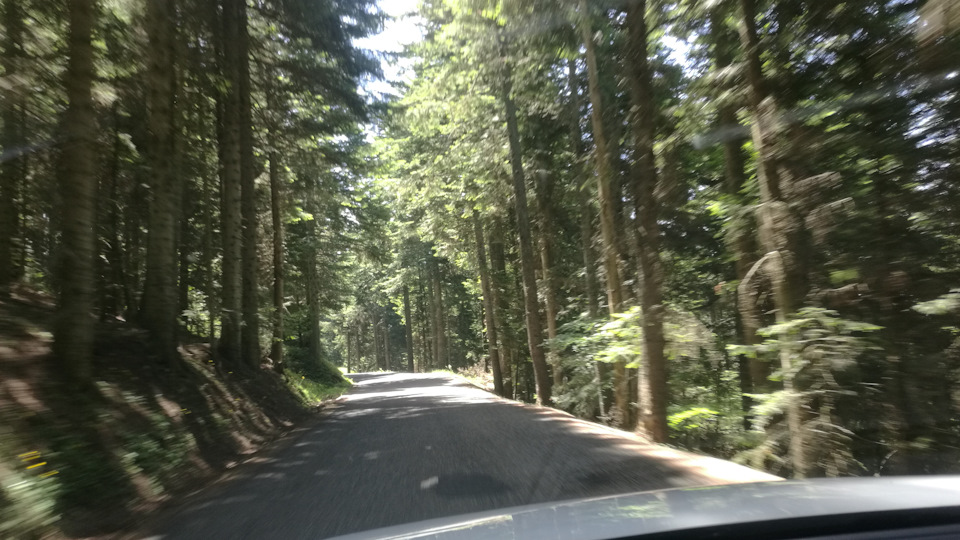 Фото в бортжурнале Audi A4 (B9)