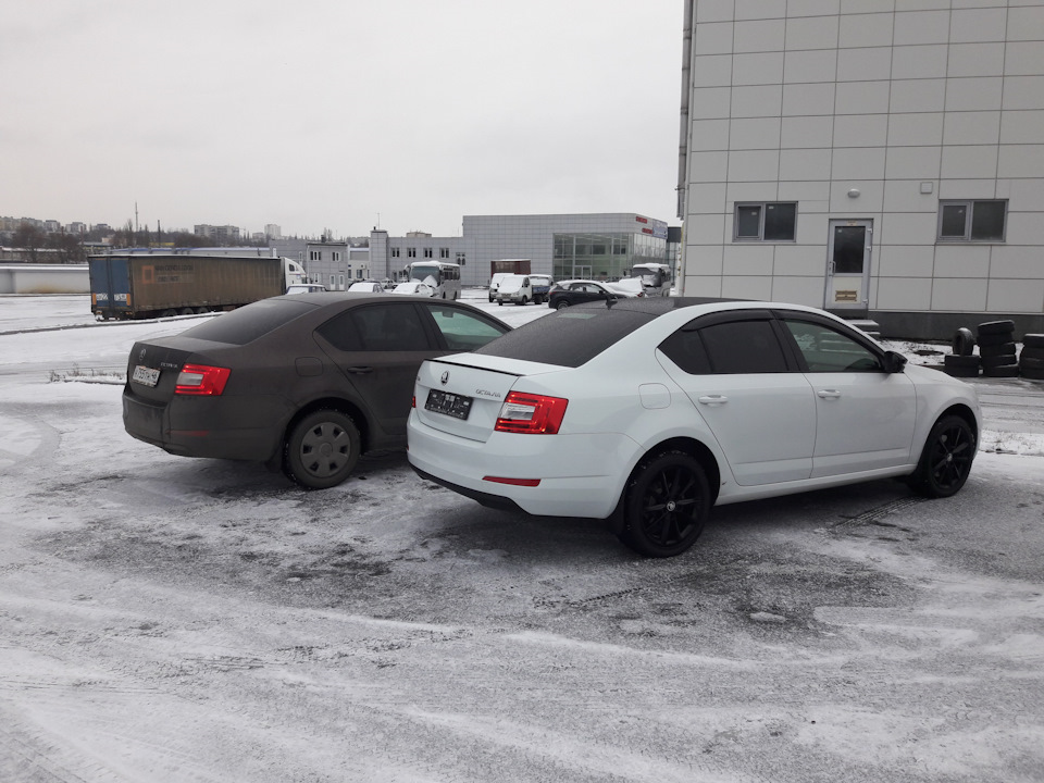 Фото в бортжурнале Skoda Octavia A7 Mk3