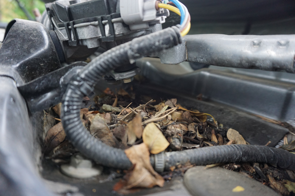 Пробуем зашумить моторный щит. — Nissan Murano II, 3,5 л, 2012 года ...