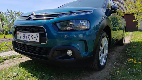 C4 cactus cs piumini best sale