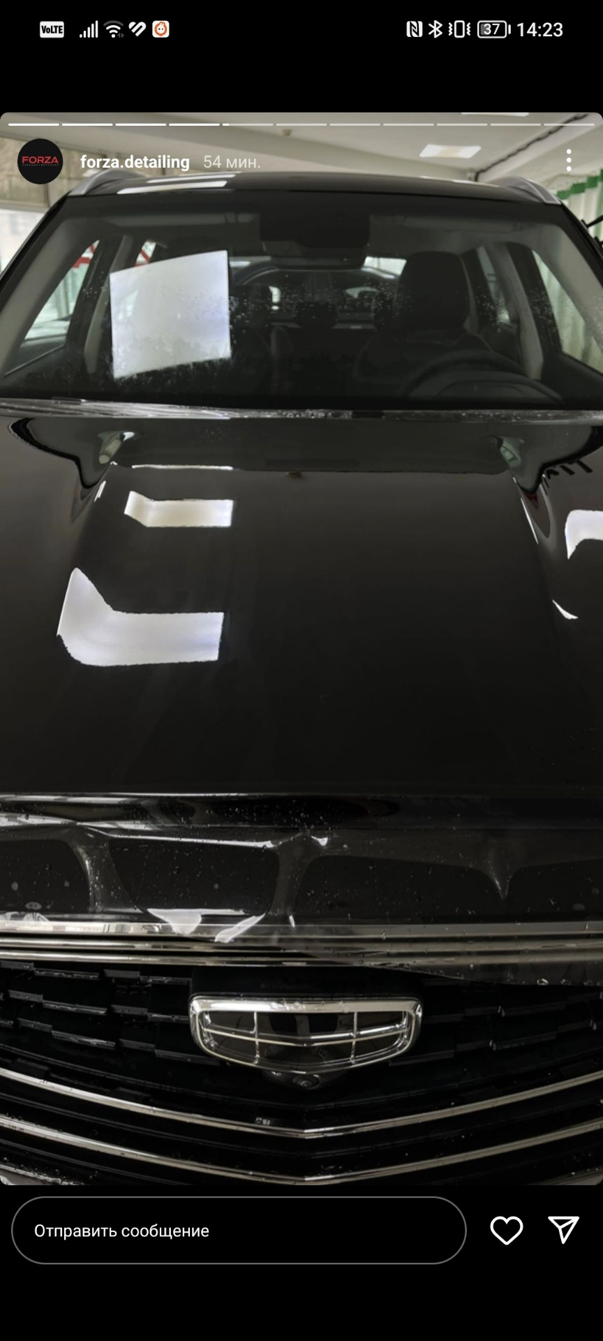 Оклейка пленкой и установка сетки решетки радиатора — Geely Atlas Pro ...