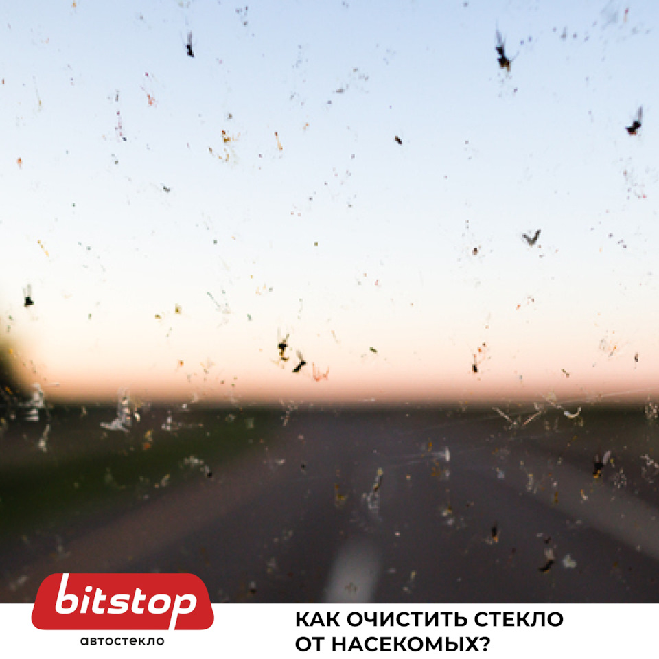 КАК ОЧИСТИТЬ СТЕКЛО ОТ НАСЕКОМЫХ — Bitstop на DRIVE2