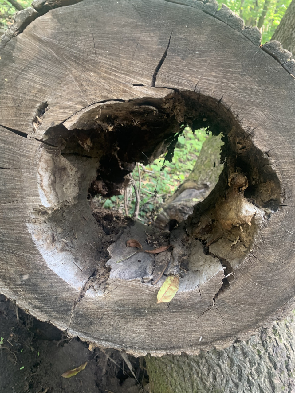 Не горят фонари при включении задней скорости — Hyundai Solaris, 1,6 л ...