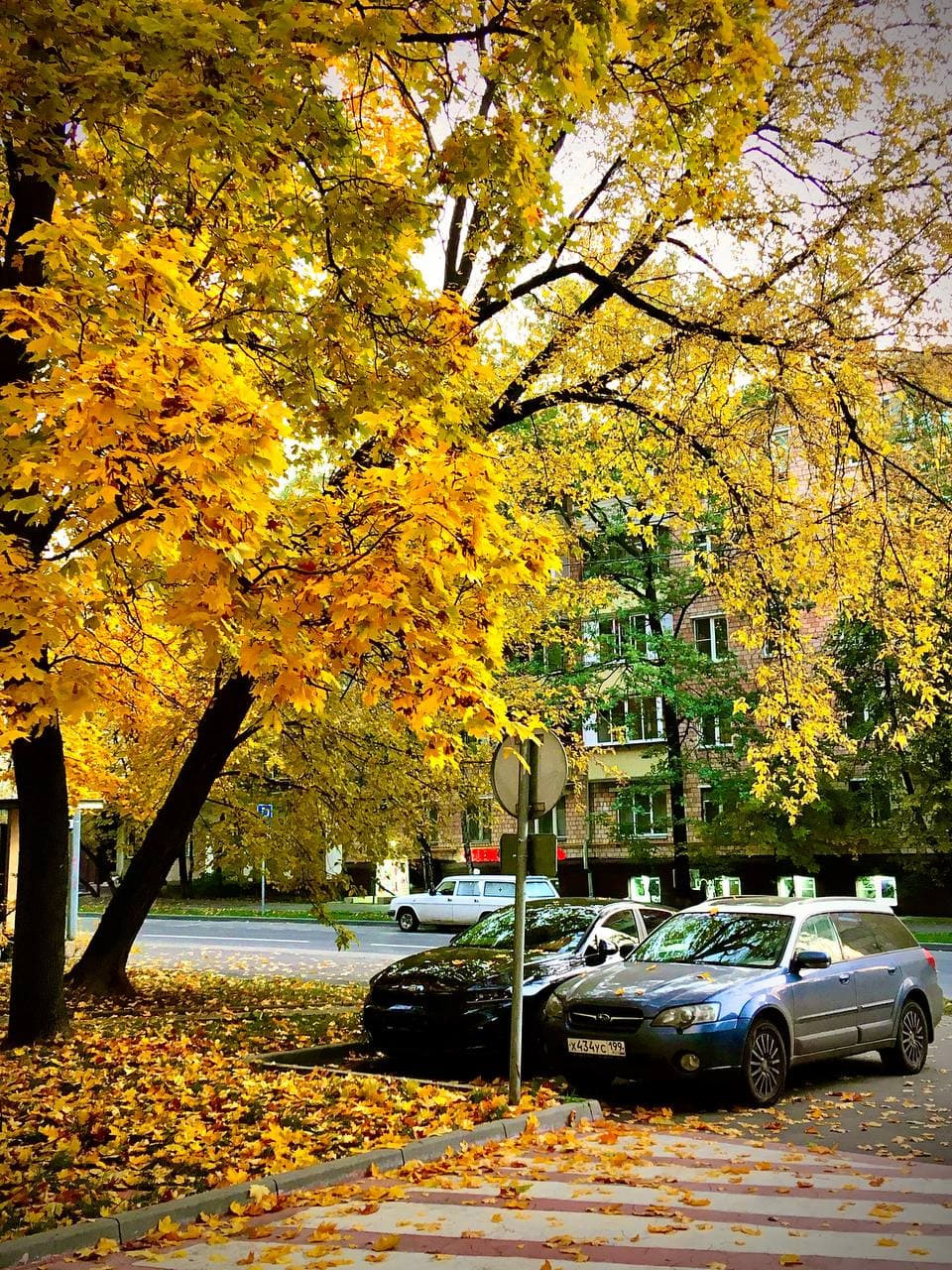 Ооосень-осень. Лес отсыл и листья сбросил. — Subaru Outback (BP), 2,5 л ...