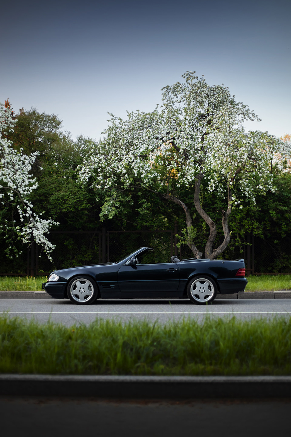 Всё идет по плану. Съёмка Mercedes-Benz SL500 R129. — «Фотосессии» на DRIVE2