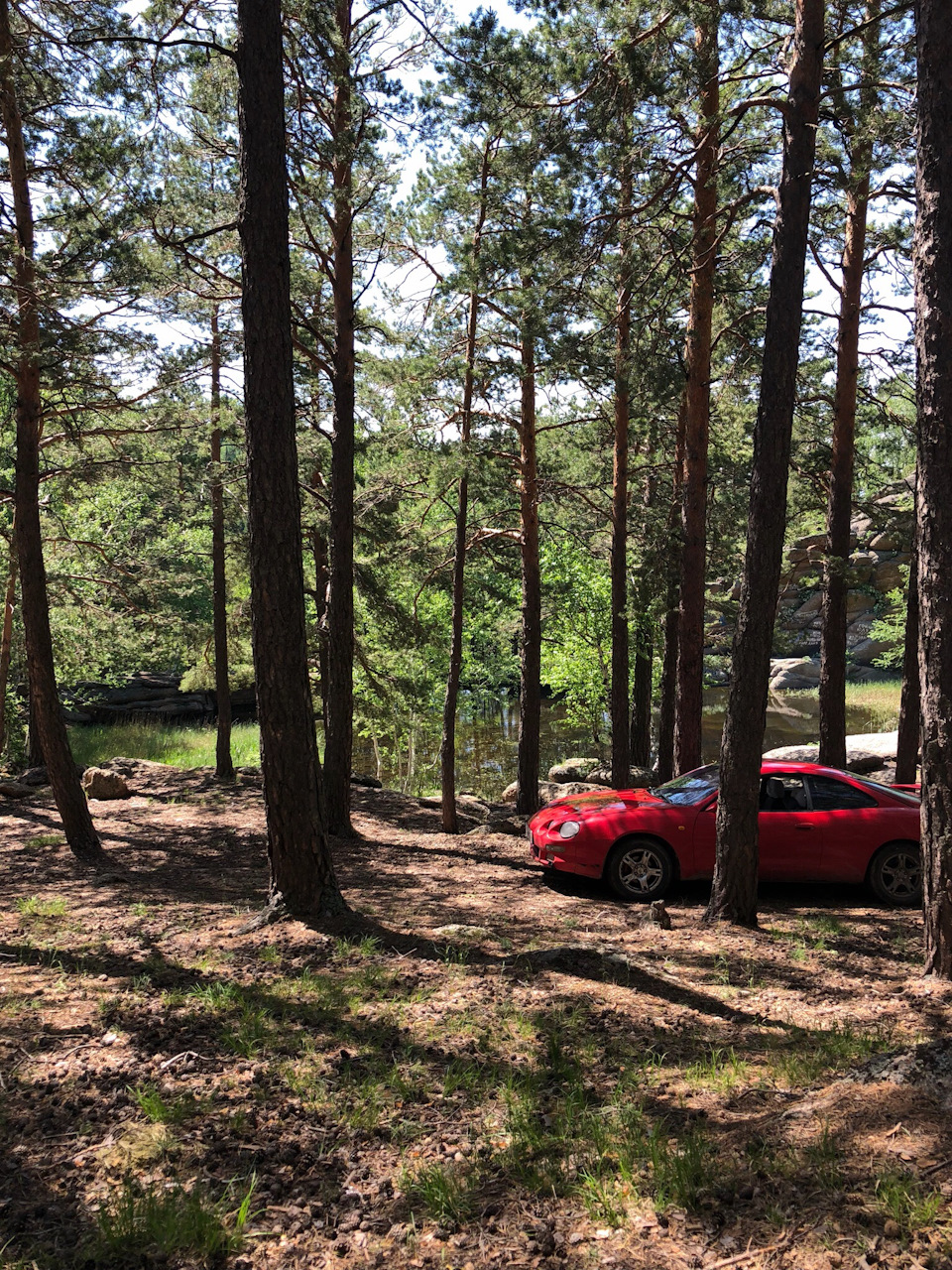 12 — Поездка в Алтайский край — озеро Моховое и озеро Белое — Toyota Celica  (200), 1,8 л, 1994 года | путешествие | DRIVE2