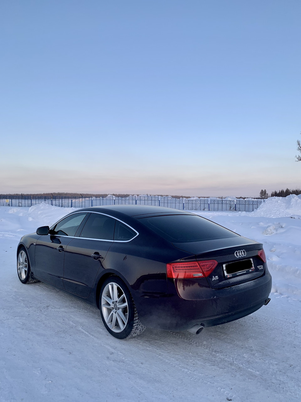 1. Покупка авто и первые впечатления — Audi A5 Sportback (1G), 2 л, 2012  года | покупка машины | DRIVE2