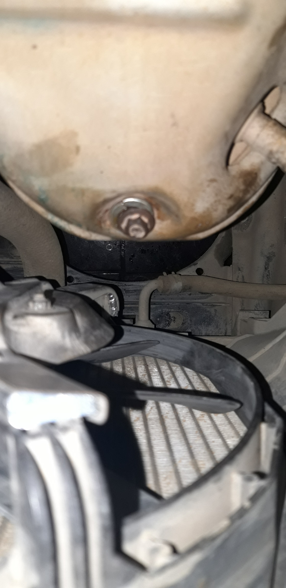 Жужание под капотом при разгоне — Mazda Premacy (1G), 1,8 л, 2002 года ...