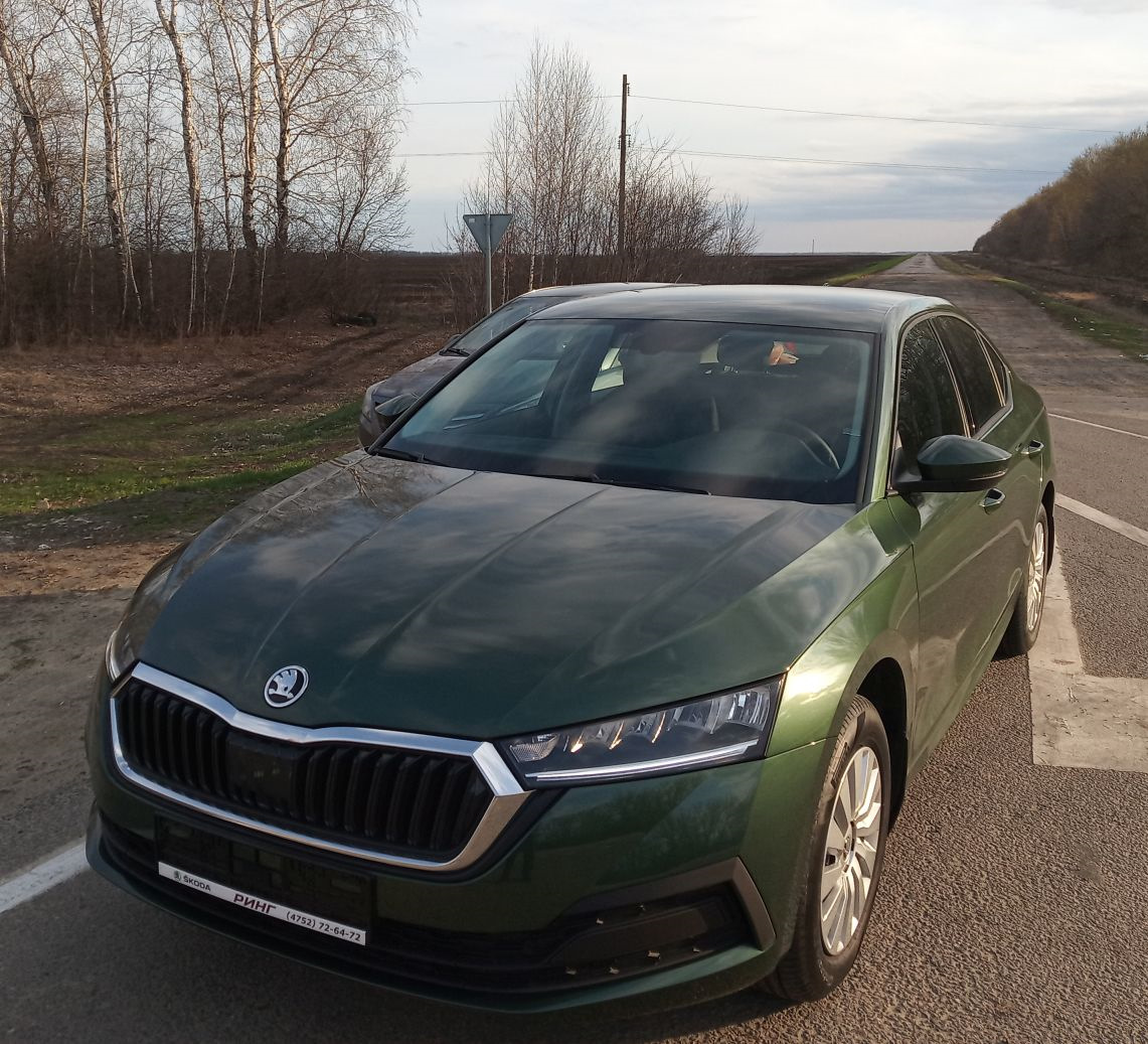 Дорога домой или первое путешествие на Škoda Octavia Ěsméralda. — Skoda  Octavia A8 Mk4, 1,4 л, 2021 года | путешествие | DRIVE2