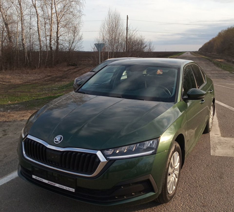 Дорога домой или первое путешествие на Škoda Octavia Ěsméralda. — Skoda  Octavia A8 Mk4, 1,4 л, 2021 года | путешествие | DRIVE2