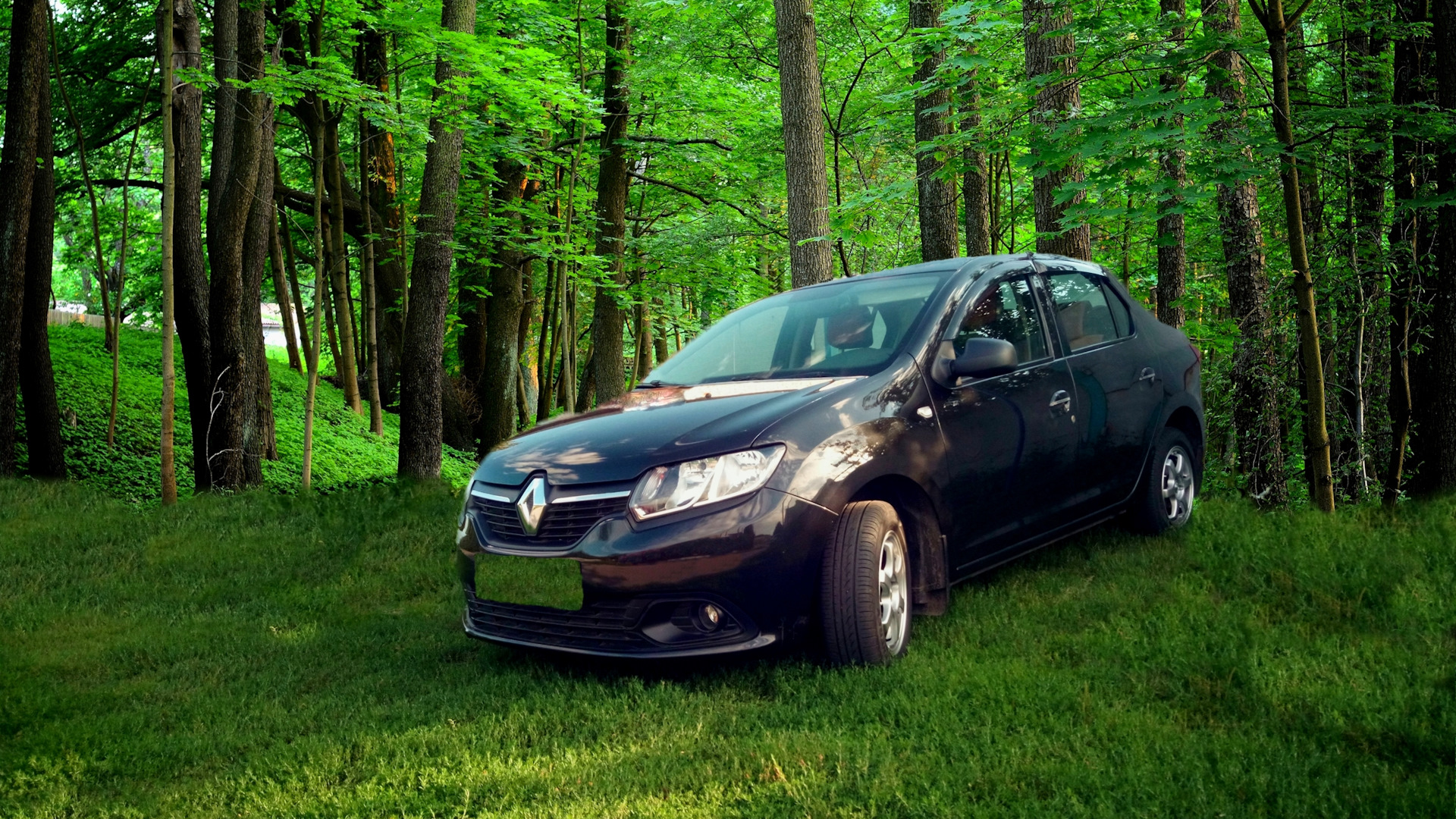 Renault drive 2. Рено Логан. Рено Логан в лесу.