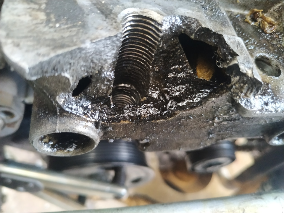 Вот отсюда масло и текло! — Skoda Octavia A5 Mk2