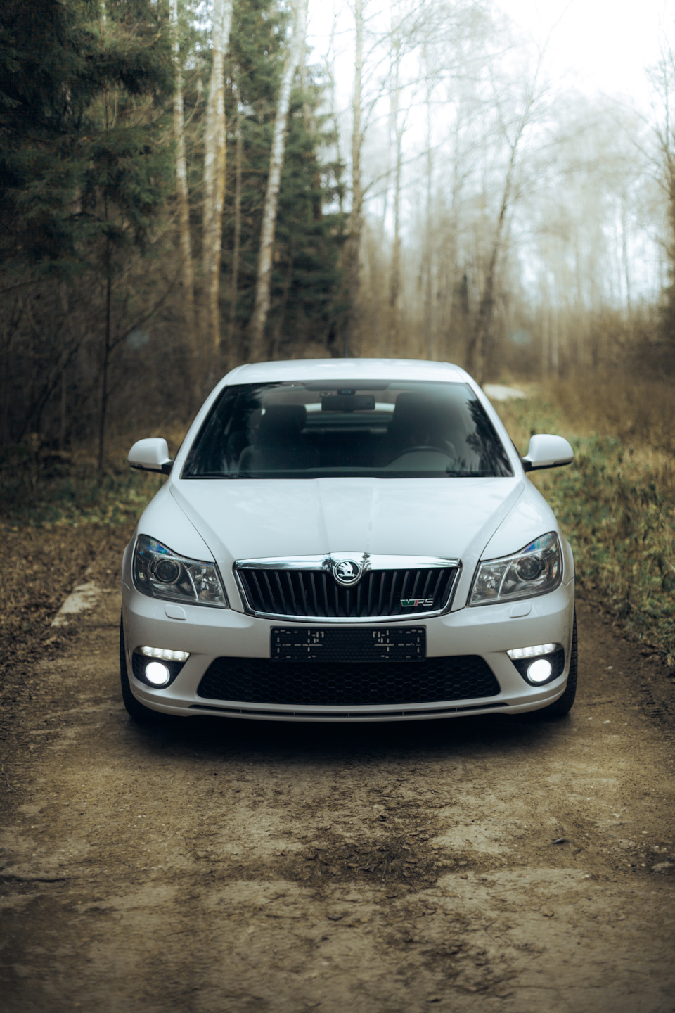 1 — Осенний фотосет 📸 — Skoda Octavia RS A5 Mk2, 2 л, 2012 года |  фотография | DRIVE2