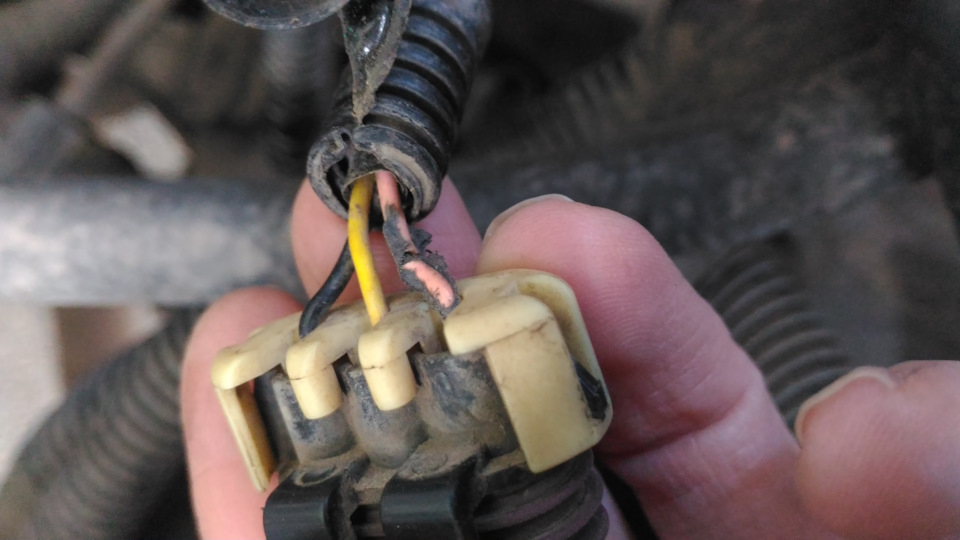 Стрелка спидометра не показывает(проблема решена) — Chevrolet Lanos, 1 ...