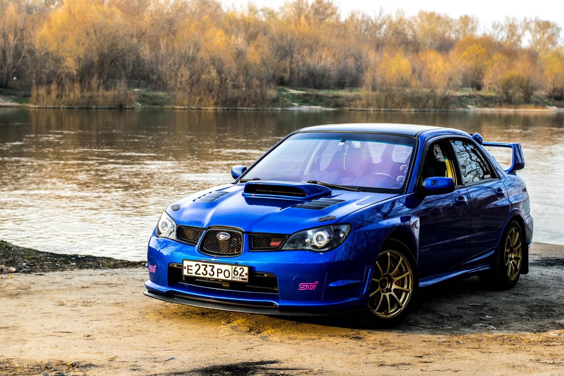 impreza лиса